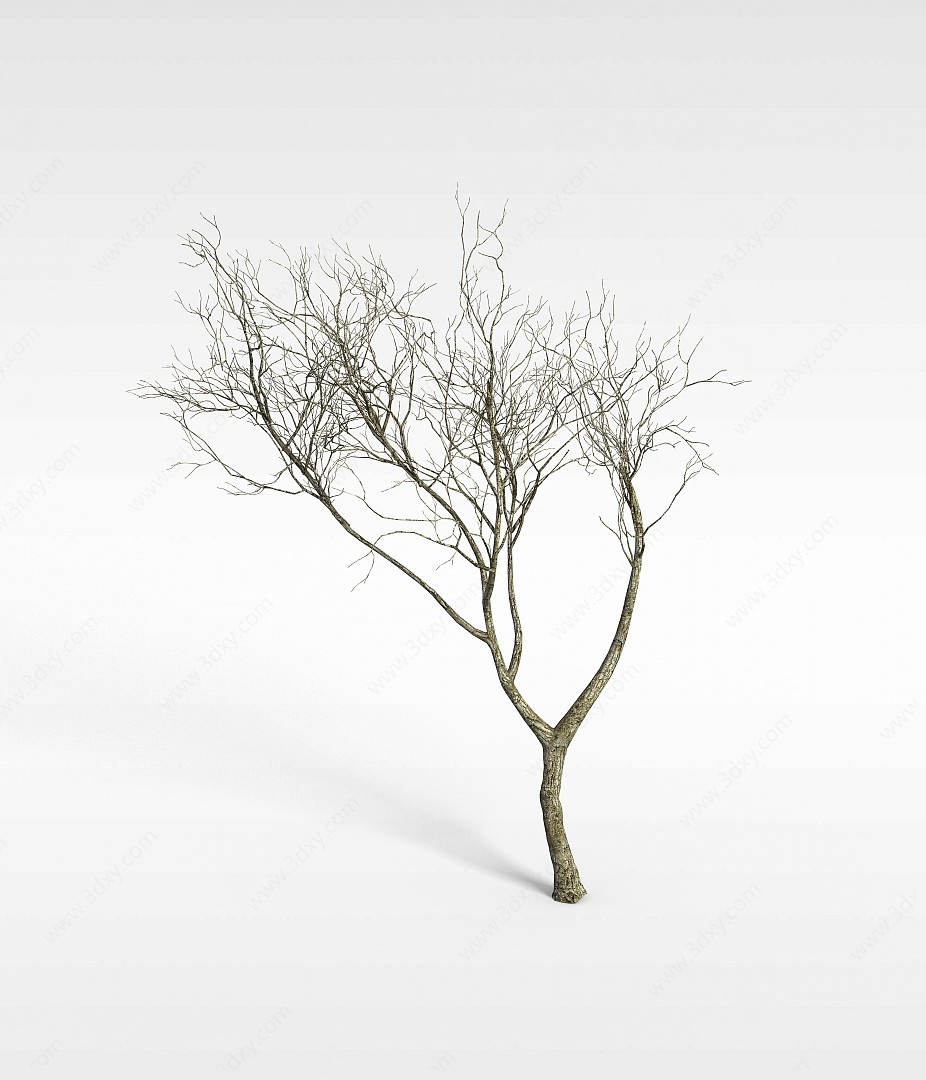 冬天枯树3D模型