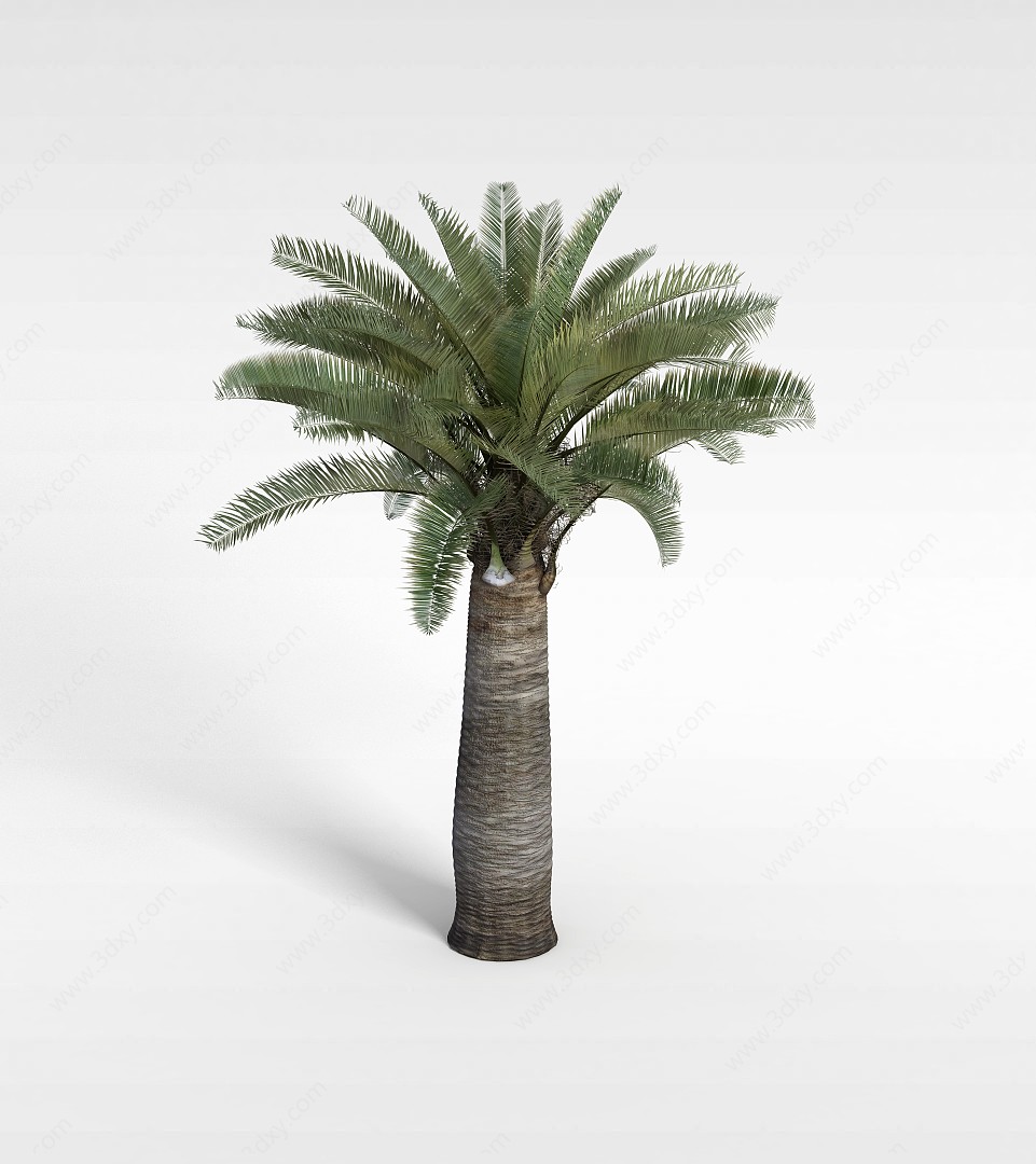 热带树木3D模型