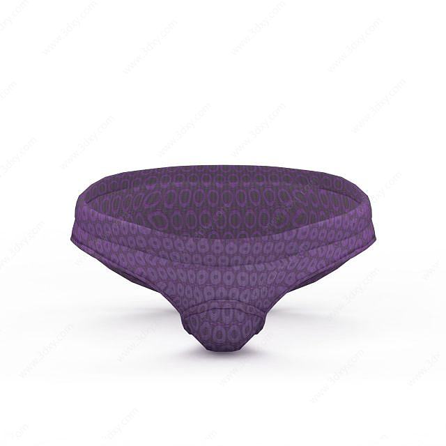 紫色内裤3D模型