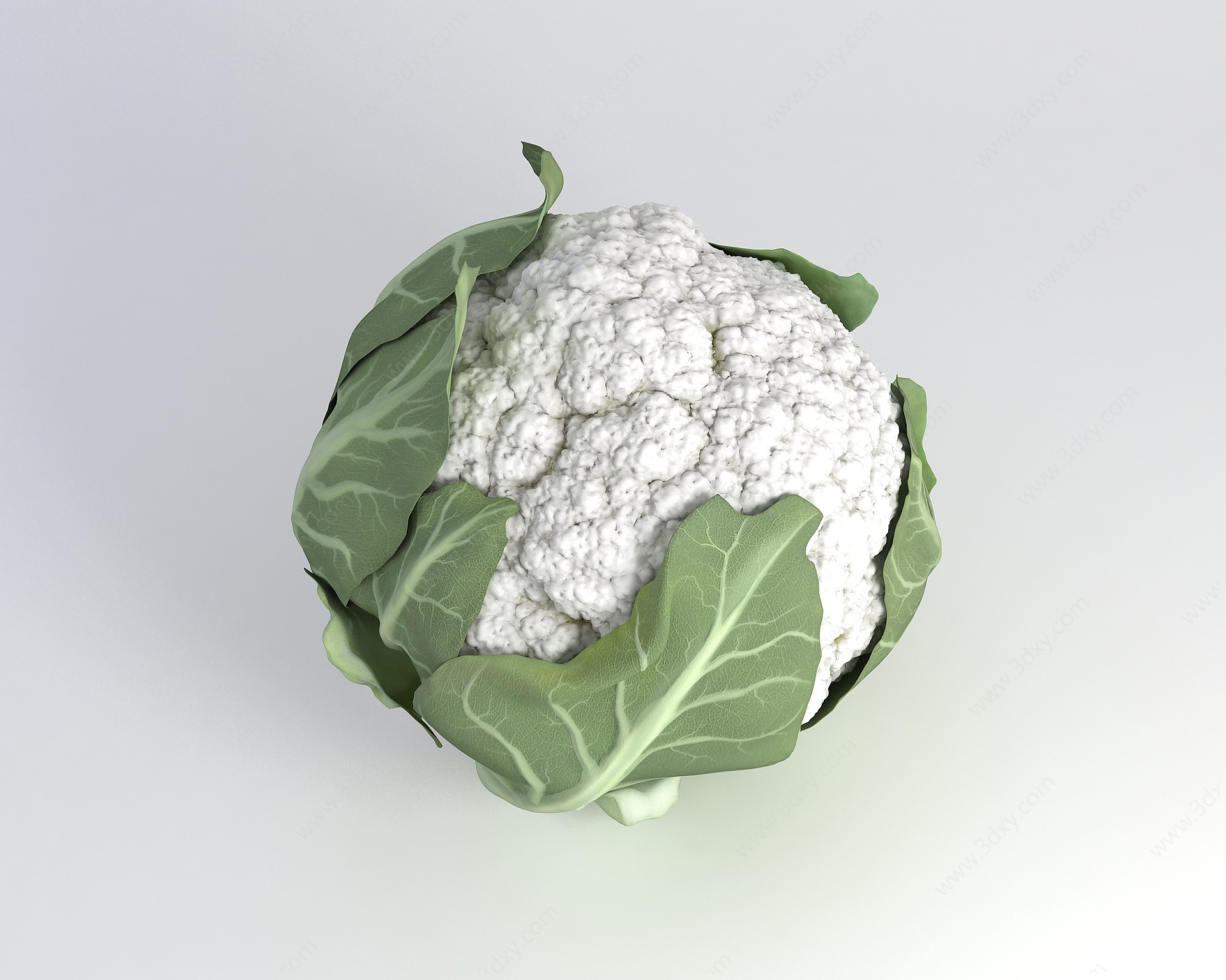 厨房花菜3D模型