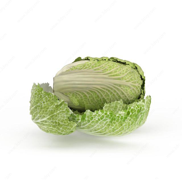 热白菜蔬菜3D模型