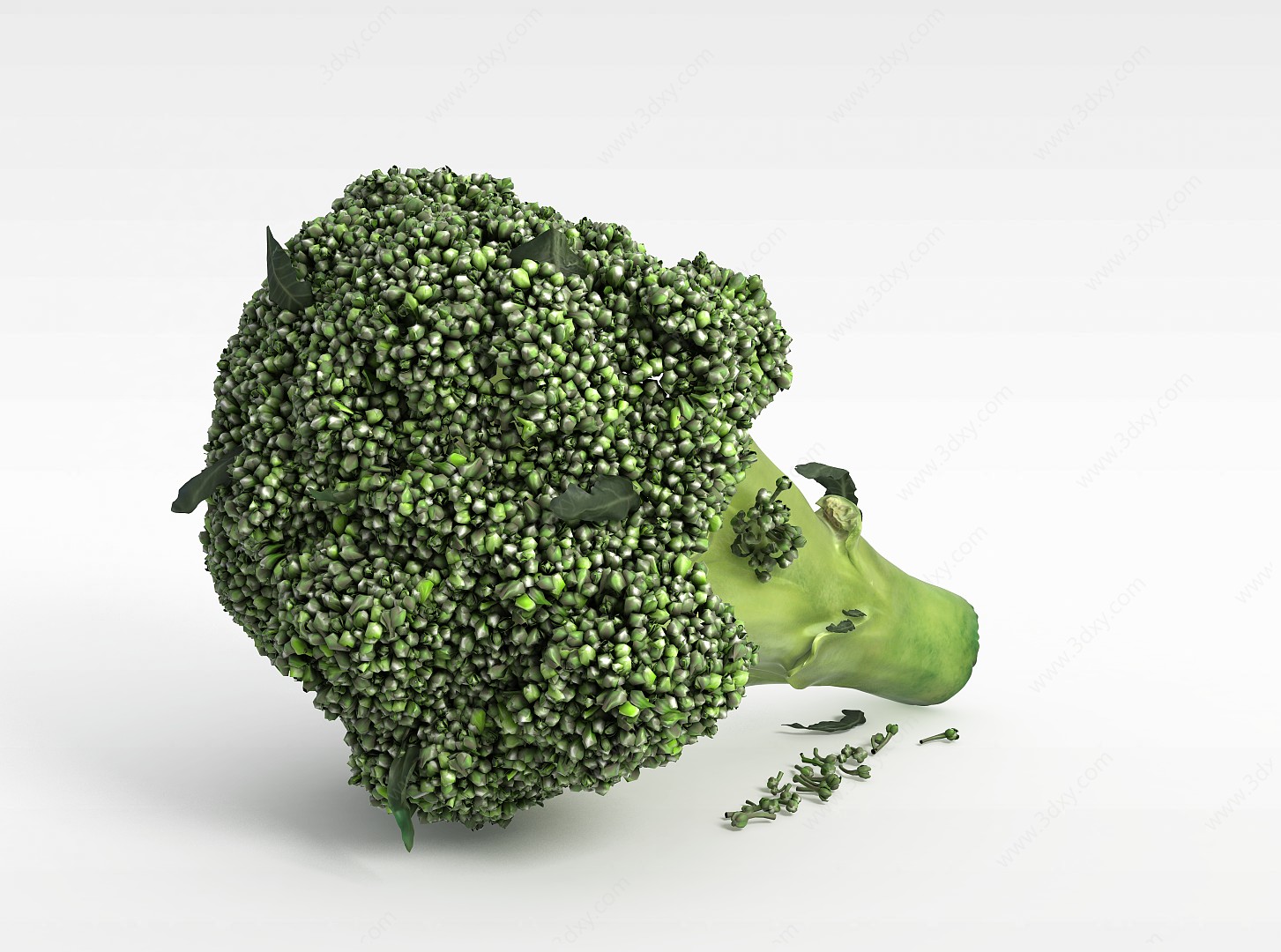 绿色花菜3D模型