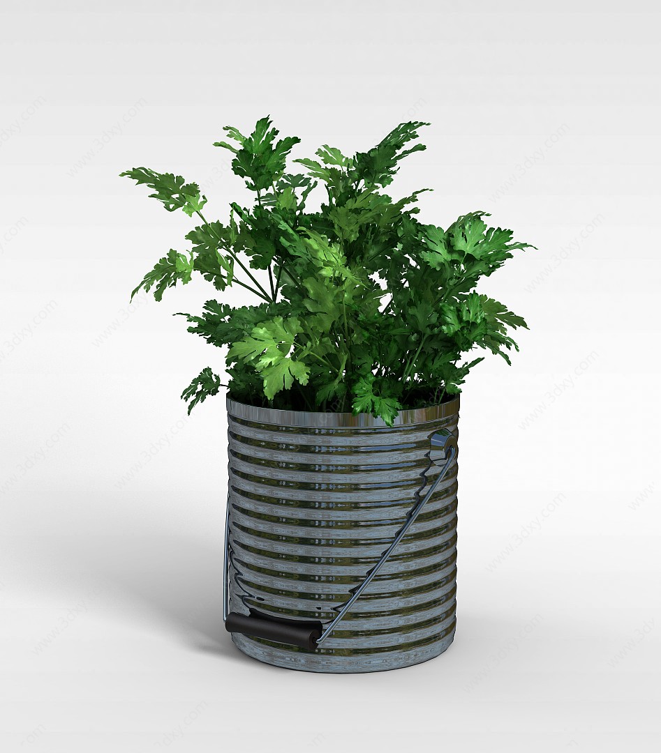 芹菜绿叶盆栽3D模型