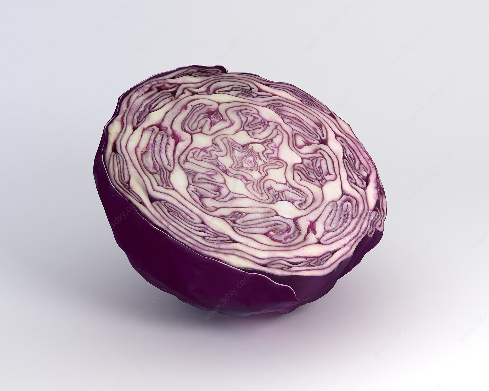 紫甘蓝蔬菜3D模型