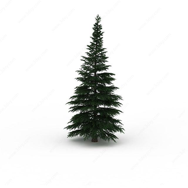 松木圣诞树3D模型