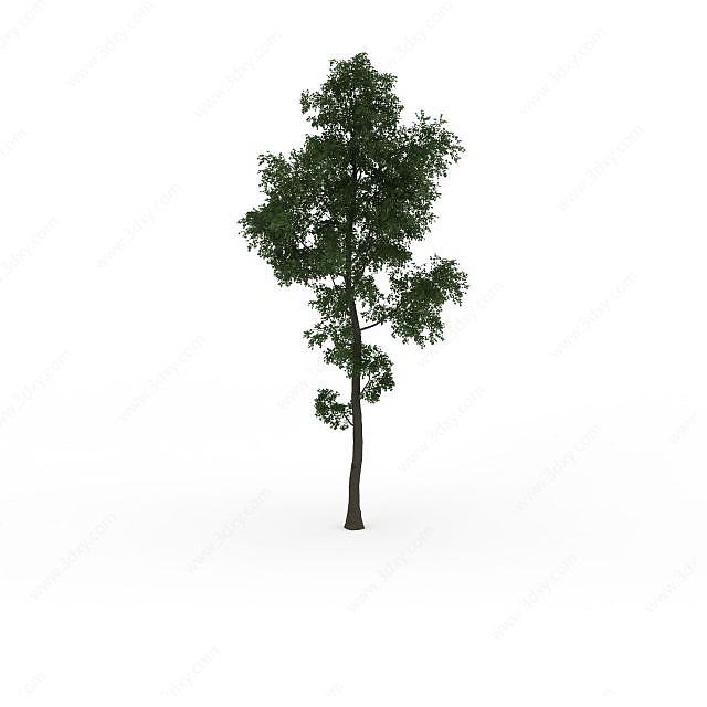 绿植树木3D模型