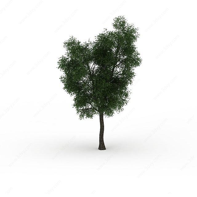 植物景观大树3D模型
