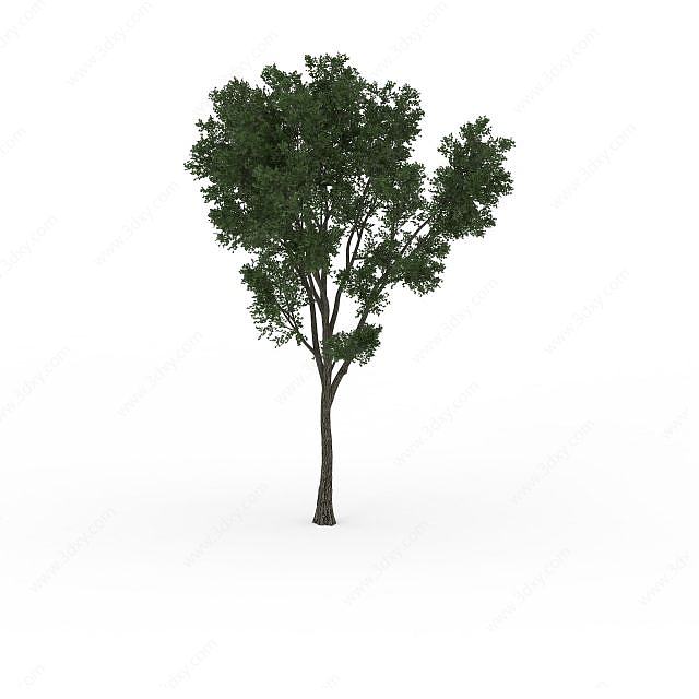 茂密大树3D模型