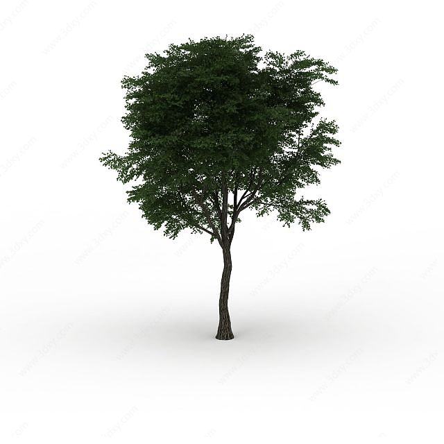 景区植物树木3D模型