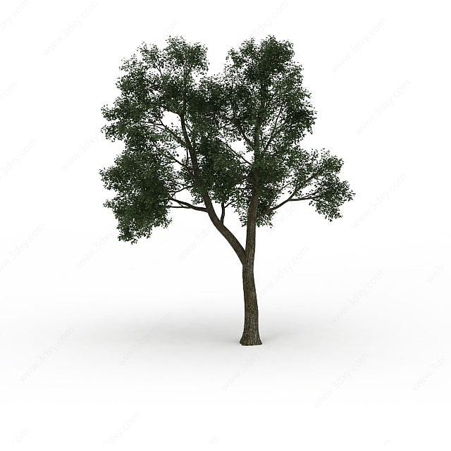 分叉绿树3D模型