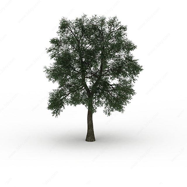 绿化树木3D模型