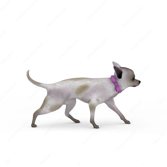白色斑点狗3D模型