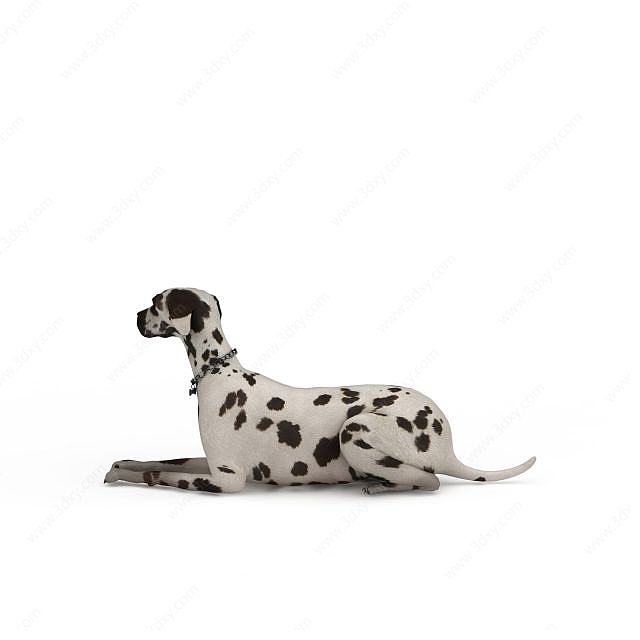 卧坐斑点狗3D模型