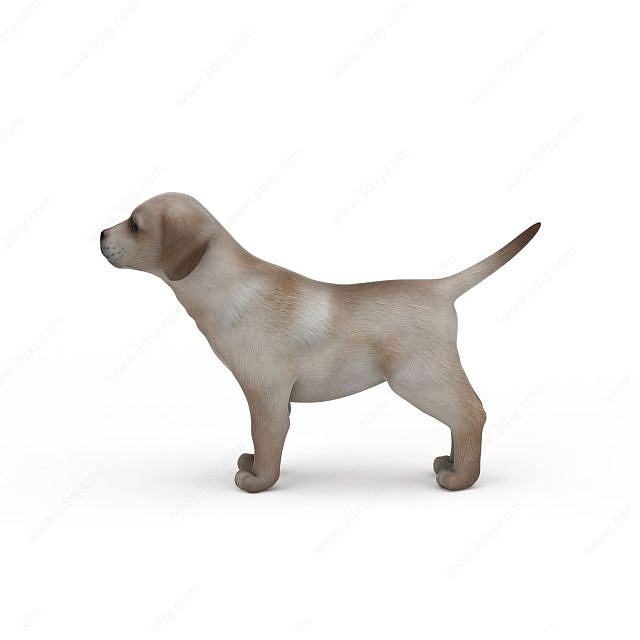 花色小狗3D模型