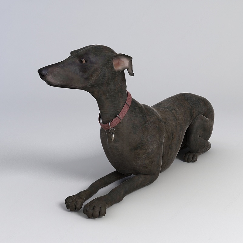 黑色狗3D模型