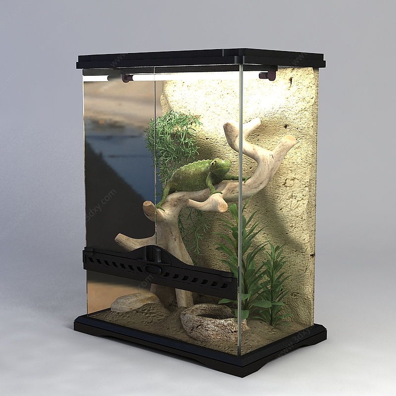 宠物青蛙3D模型