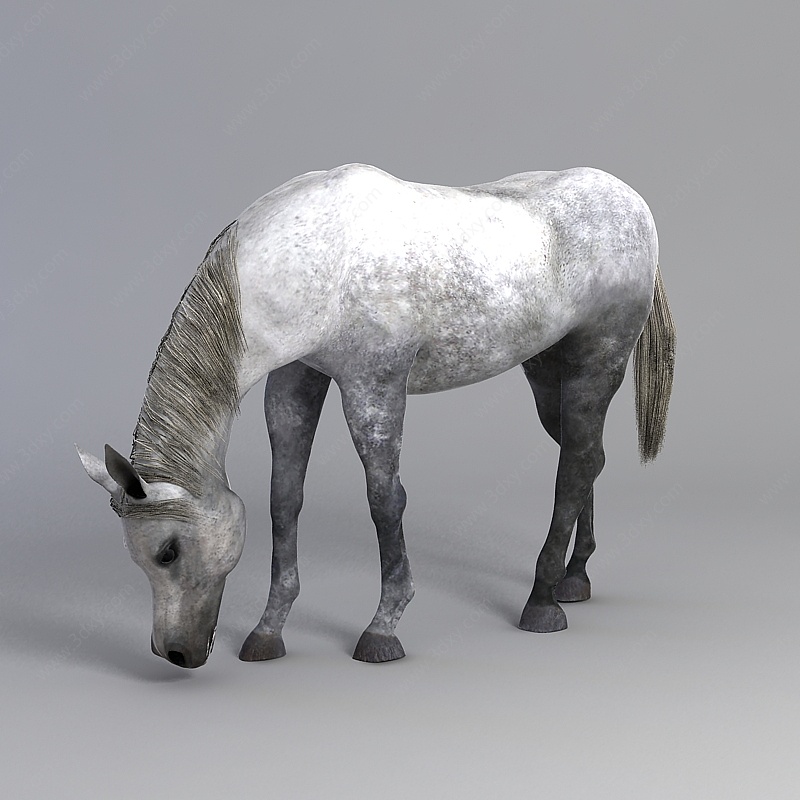 白色观赏马3D模型