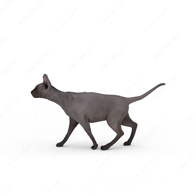 灰色小猫3D模型