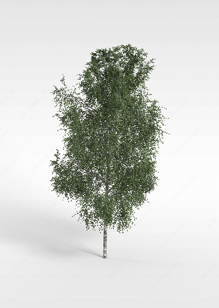 公园景观树3D模型