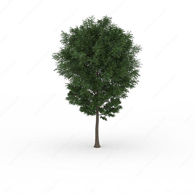 绿叶景观树3D模型
