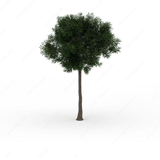 茂密绿叶树3D模型
