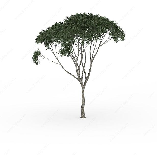分叉小叶树3D模型