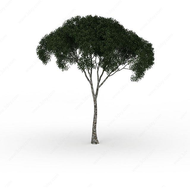 茂盛绿叶树3D模型