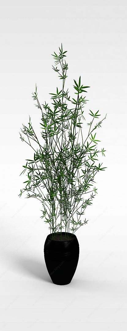 绿色竹子盆景3D模型