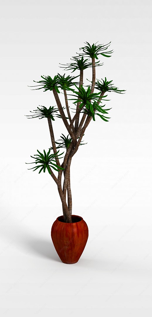 棕色树干盆景3D模型