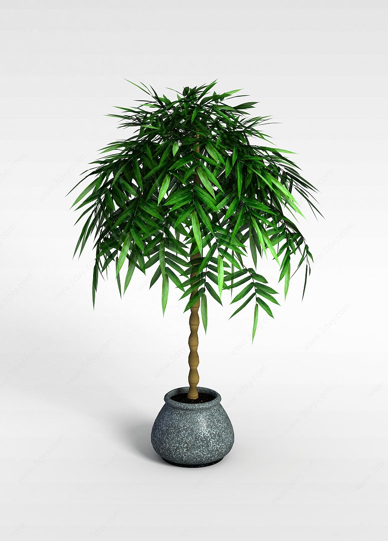 佛肚竹盆栽3D模型
