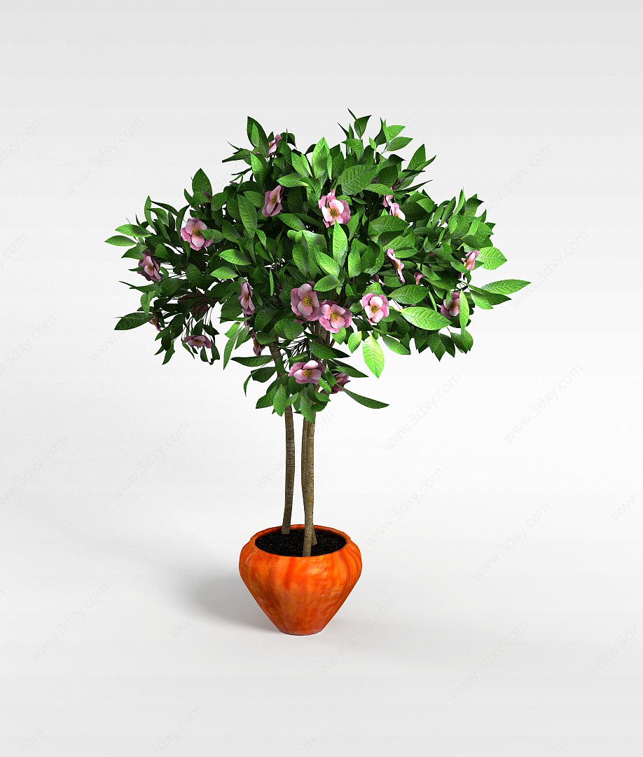 粉红花朵绿叶盆景3D模型