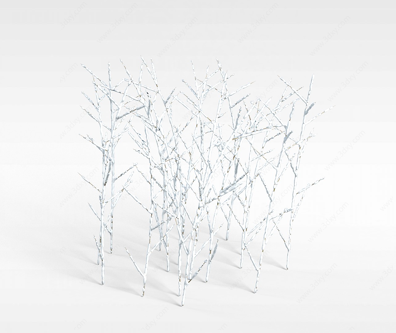 挂雪树木3D模型
