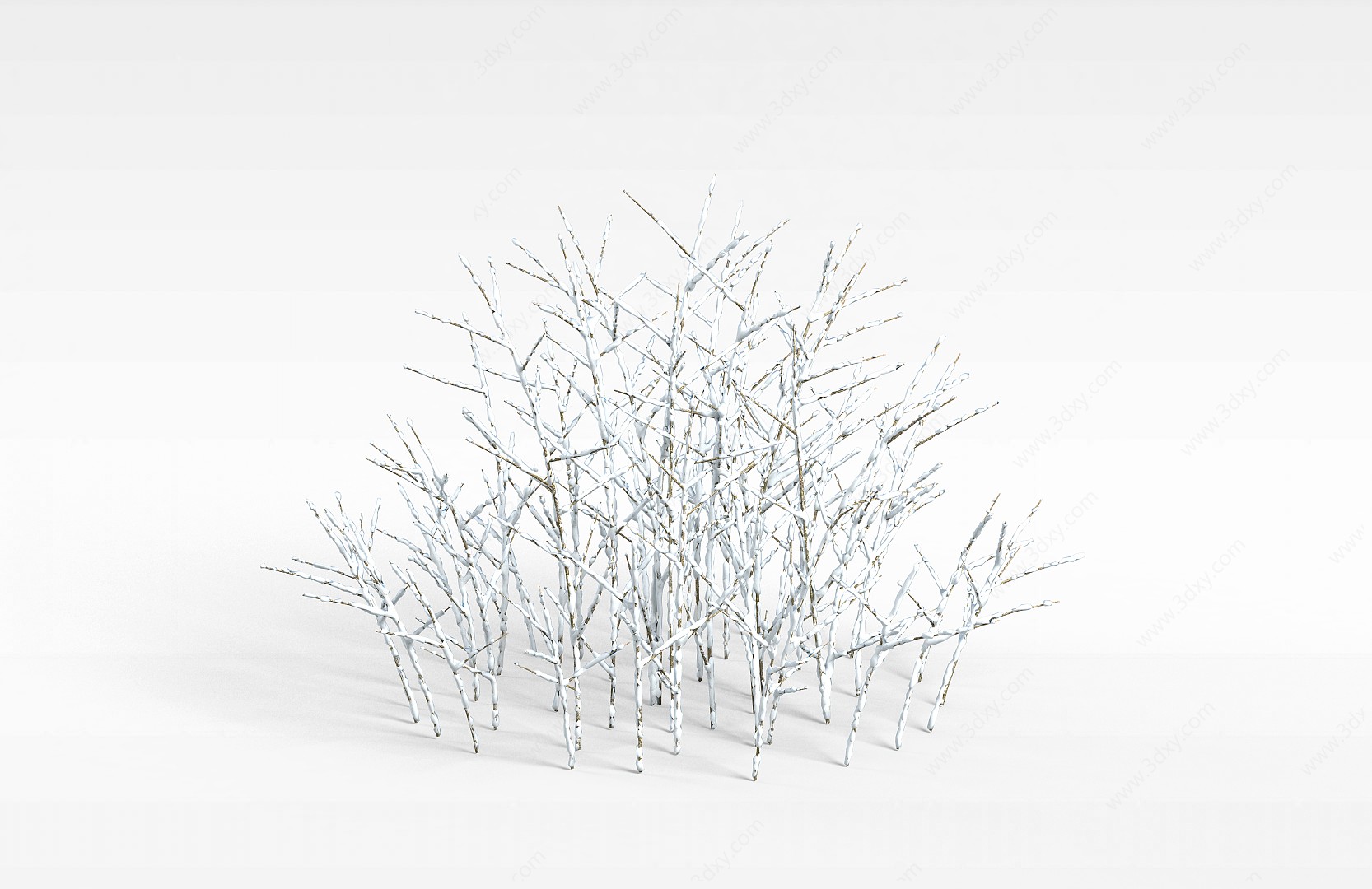 冬日落雪树木3D模型