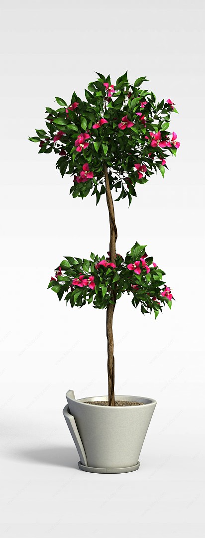 玫红花朵绿植3D模型