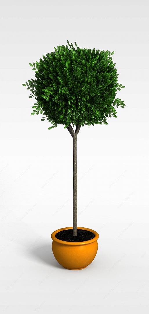 圆形树冠盆景3D模型