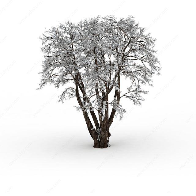 挂雪棕色树3D模型