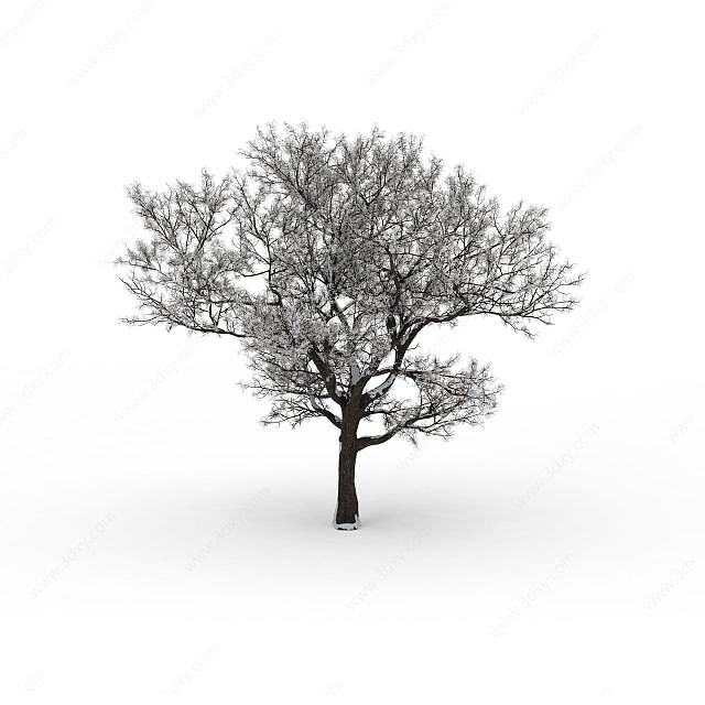 矮树冠落雪树3D模型