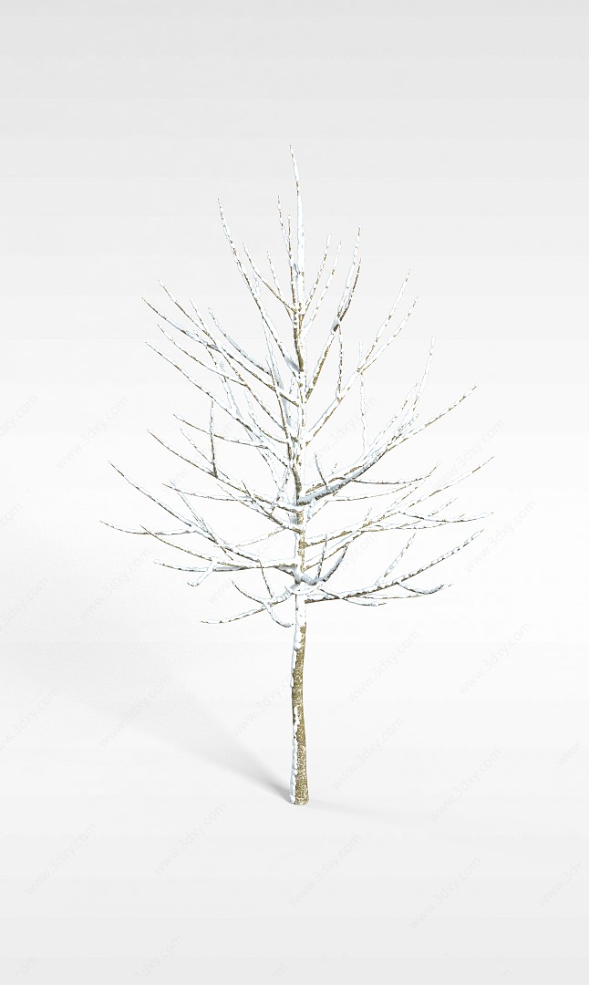 冬天挂雪树3D模型