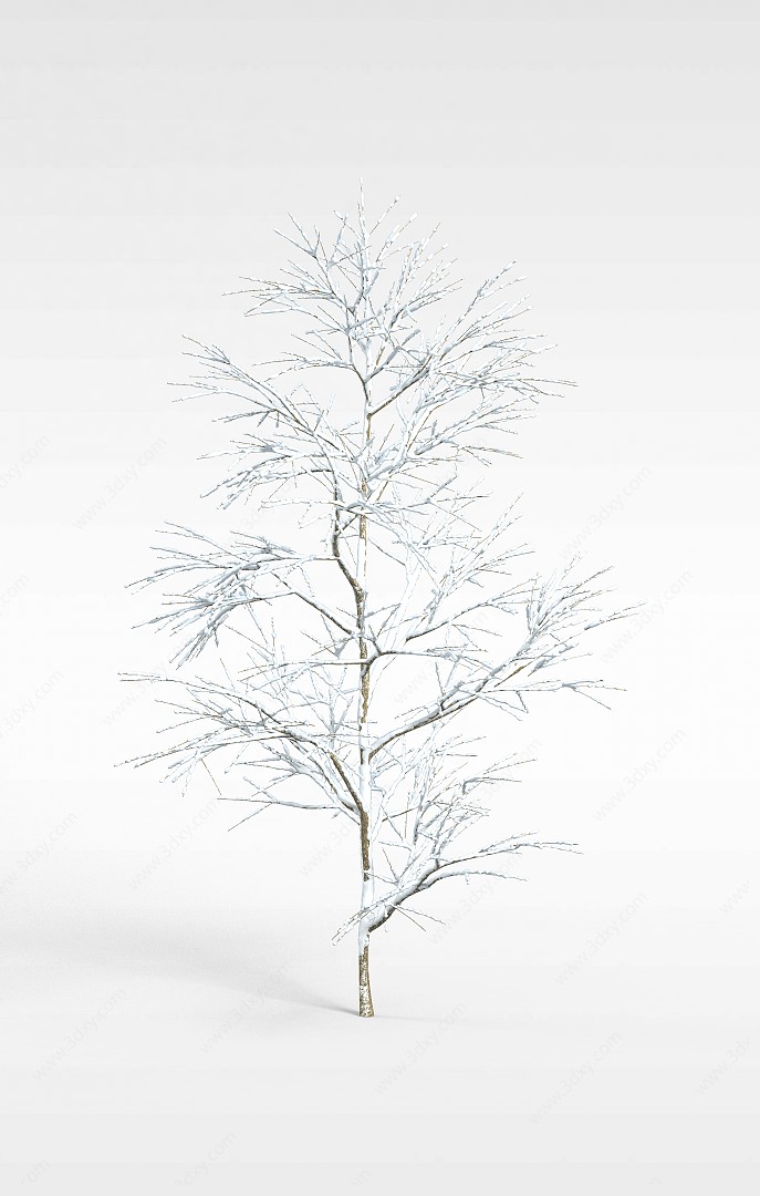 落雪植物3D模型