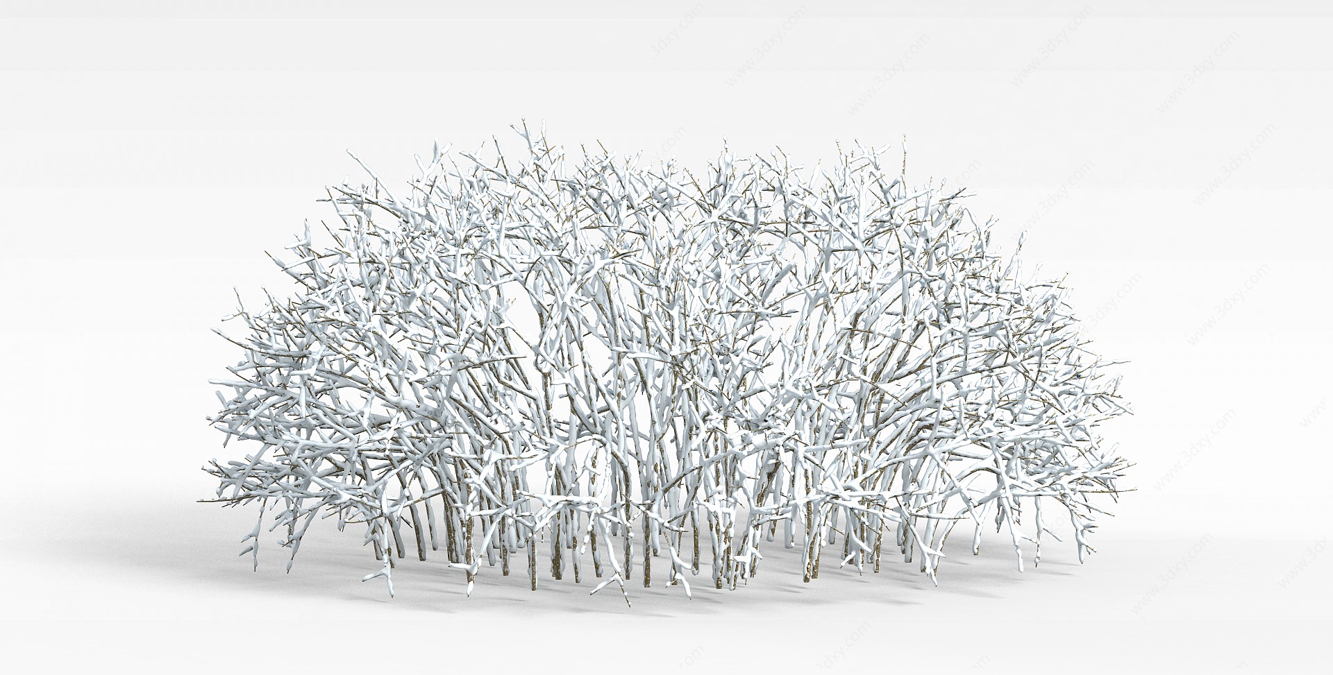冬日带雪树林3D模型