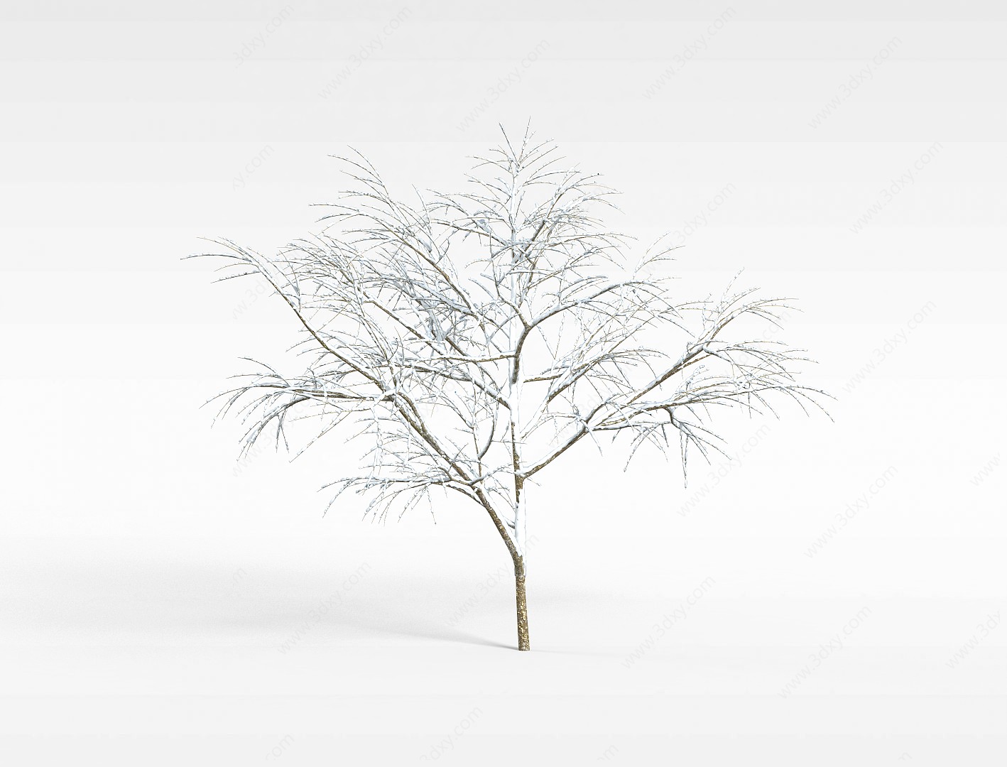 挂雪公园绿化树3D模型