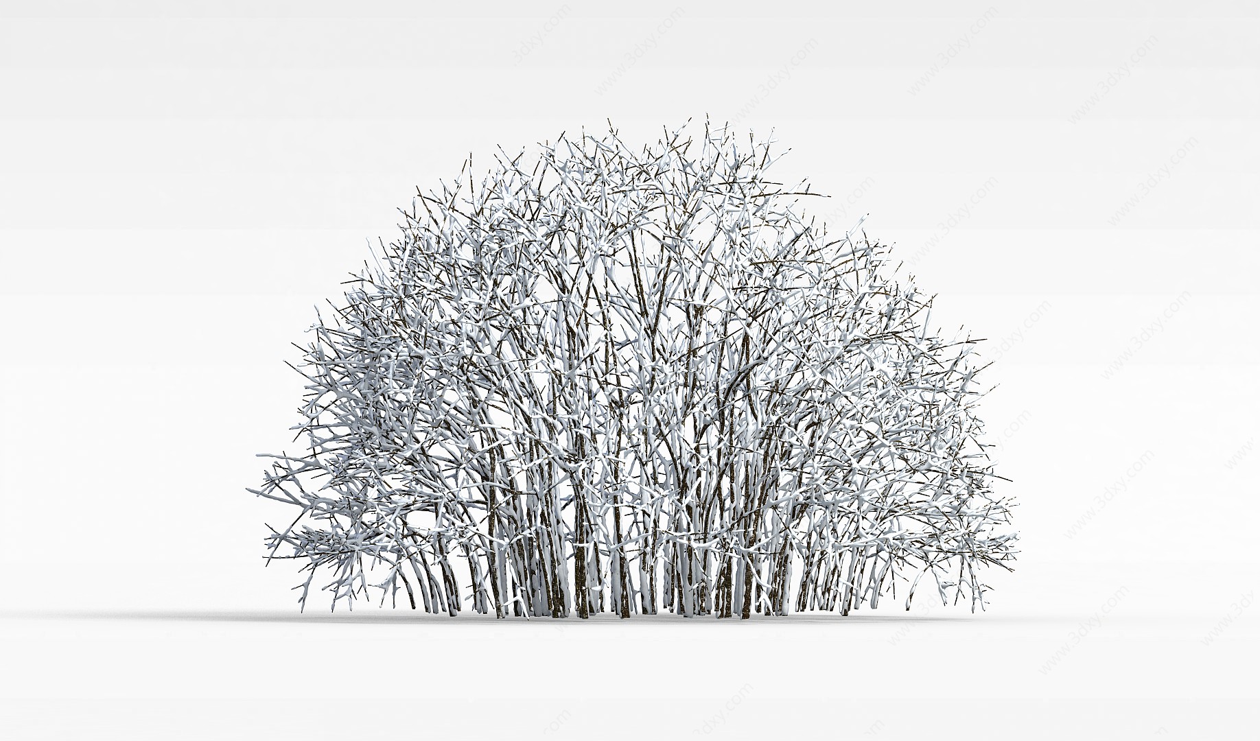 一片挂雪树木3D模型