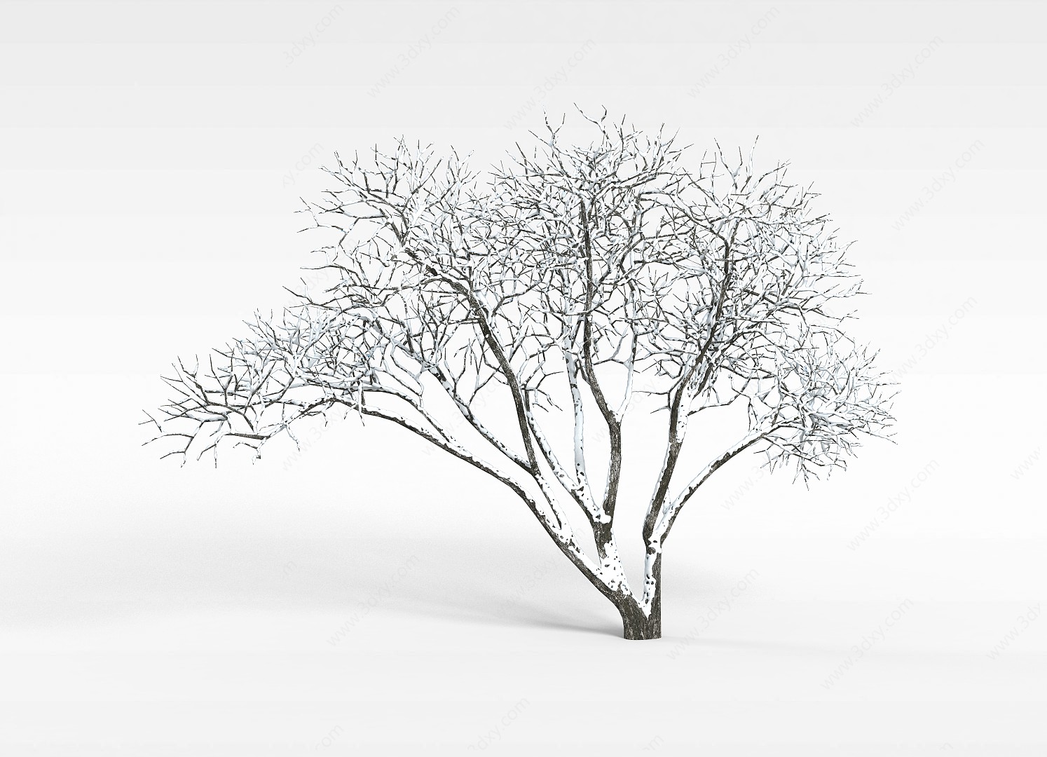 冬天多树干树木3D模型