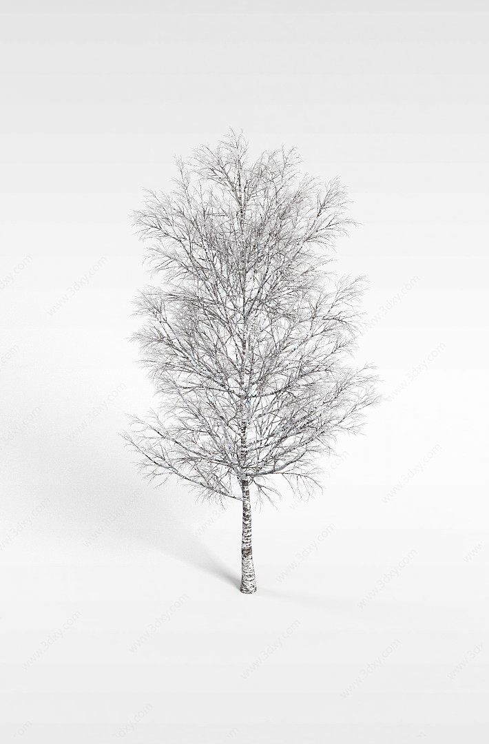 挂雪白杨树3D模型
