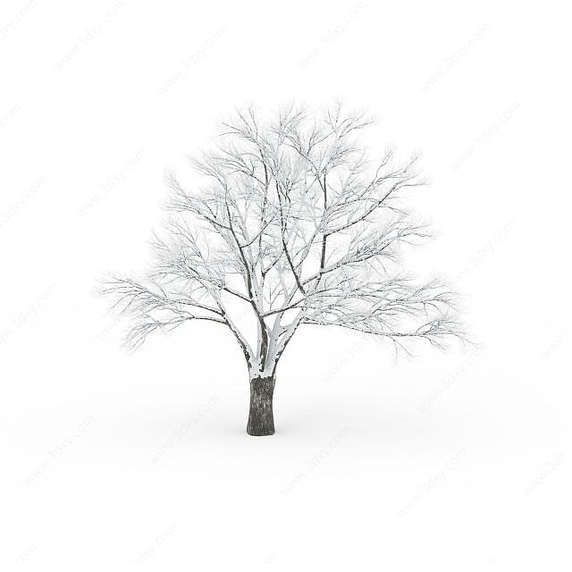 矮树冠挂雪树木3D模型
