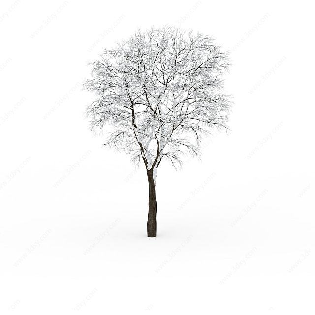 小型挂雪树木3D模型