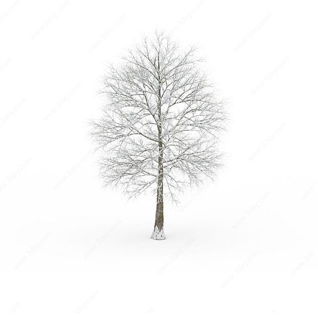 小棵挂雪树木3D模型