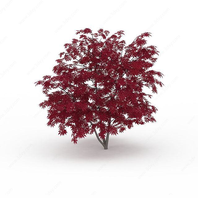 紫红色树叶树木3D模型