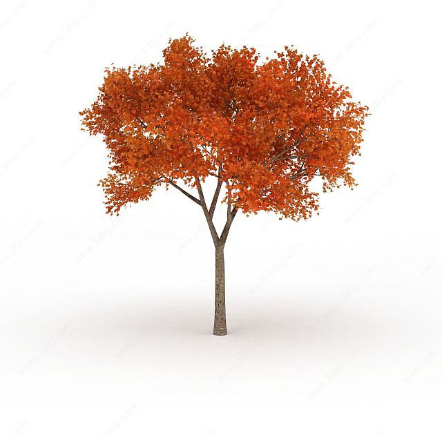 橘黄色叶子树木3D模型