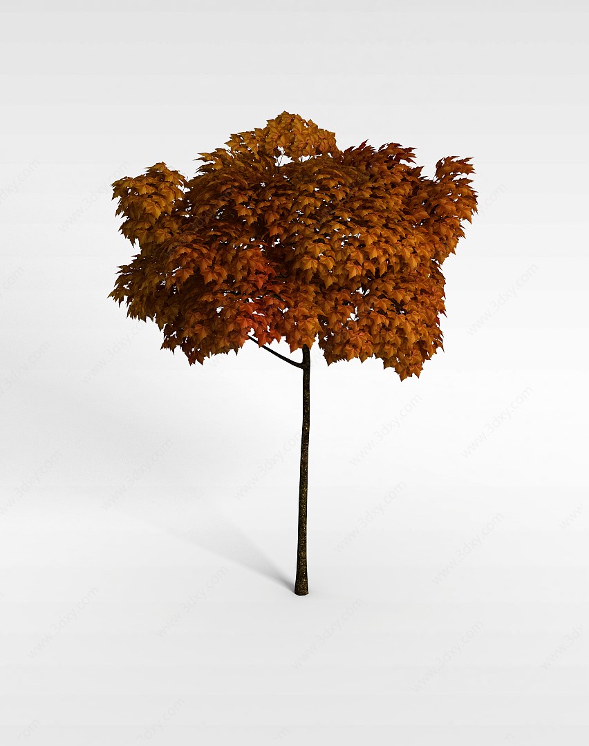 秋天黄叶景观树3D模型